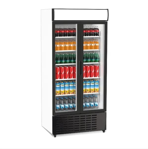 Senox SDS 1010 DC 2 CF Siyah Kanopili Çarpma Kapılı
